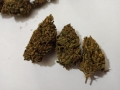 Canada Lemon Hanfblüten (Lemon Haze) 5g