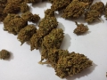 Canada Lemon Hanfblüten (Lemon Haze) 5g